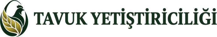 Tavuk Yetiştiriciliği